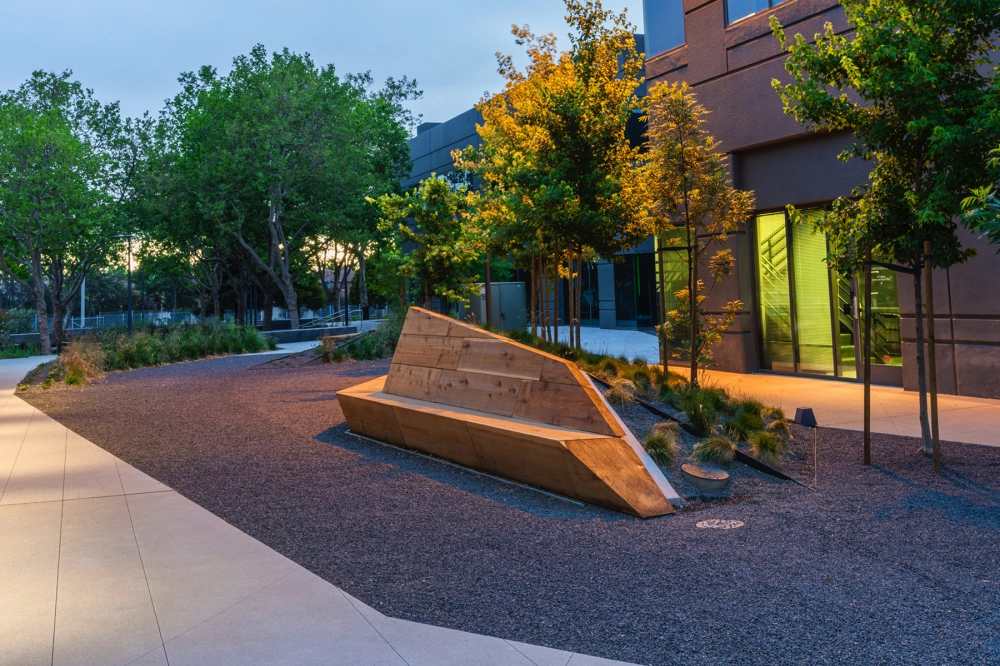 Campus Redwood Bench