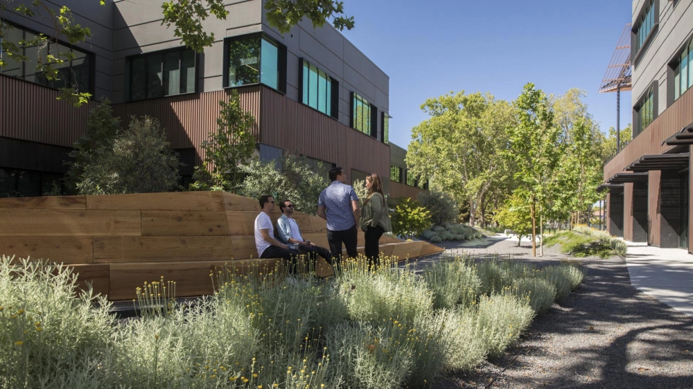 Campus Redwood Bench