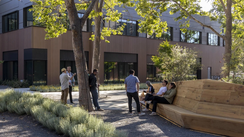 Campus Redwood Bench