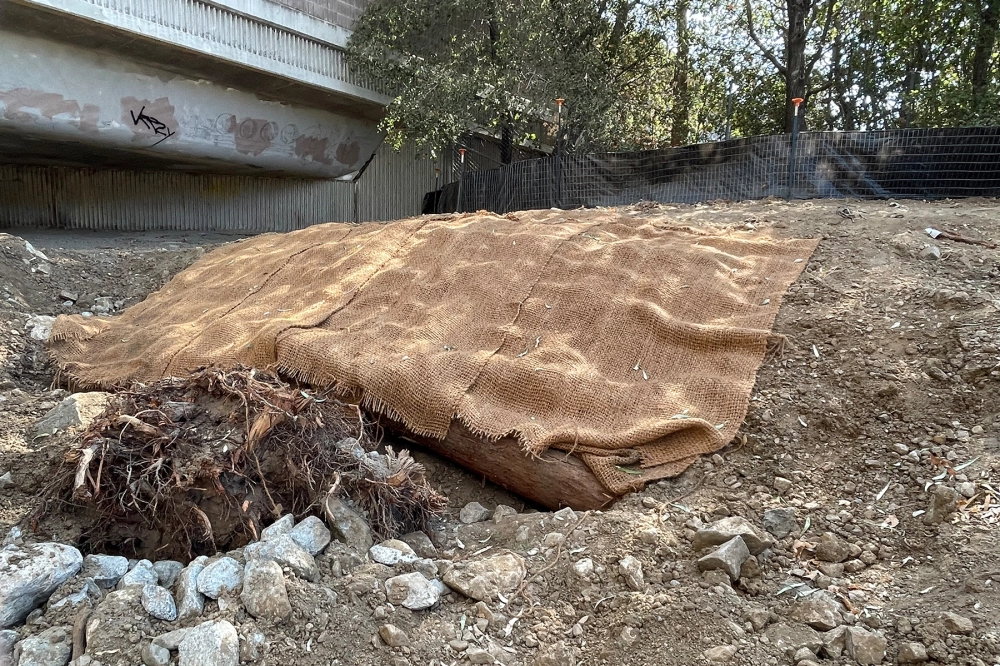Saratoga Creek Restoration Project